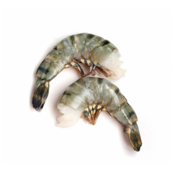 Tiger Shrimp 13-15（about 1 lb）
